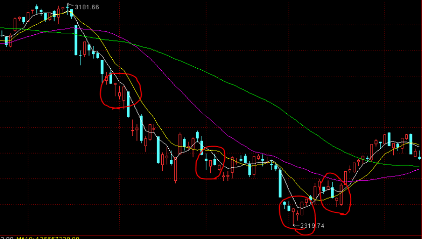 我国渔业生态环境状况稳中向好