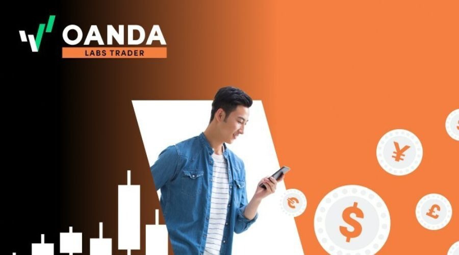 群智咨询：2025年上半年全球智能手机面板出货量约10.9亿片，a-Si LCD凭成本优势稳增14.2%